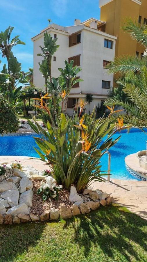 Punta Prima Nice Apartment With Sea Views Torrevieja Zewnętrze zdjęcie